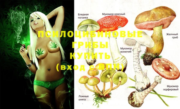 спиды Алзамай