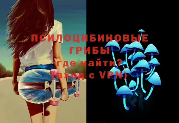 спиды Алзамай