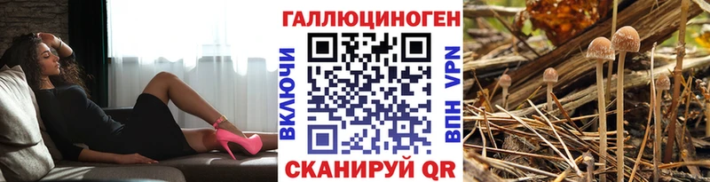 Псилоцибиновые грибы мухоморы  Лесосибирск 